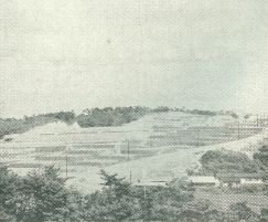 黒松団地 HISTORY IMAGE 7